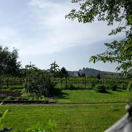 Couette-café Weinberghaus