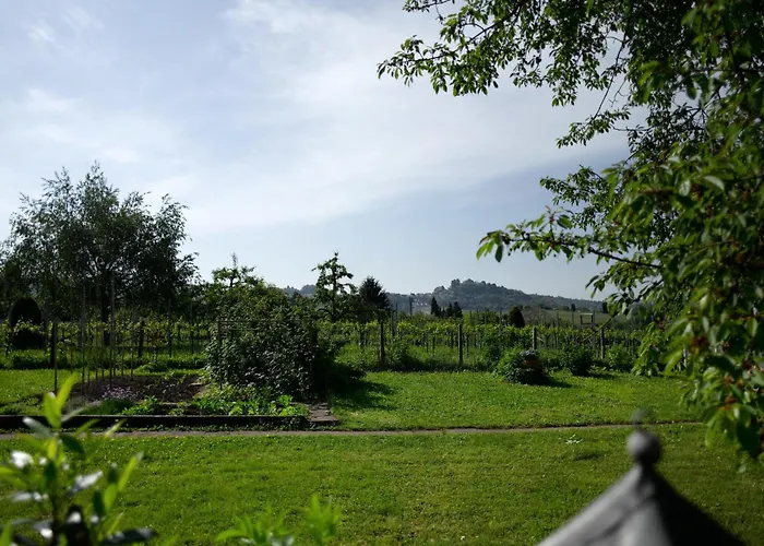 Bed & Breakfast Weinberghaus