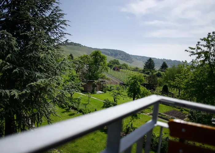 Bed & Breakfast Weinberghaus Fellbach